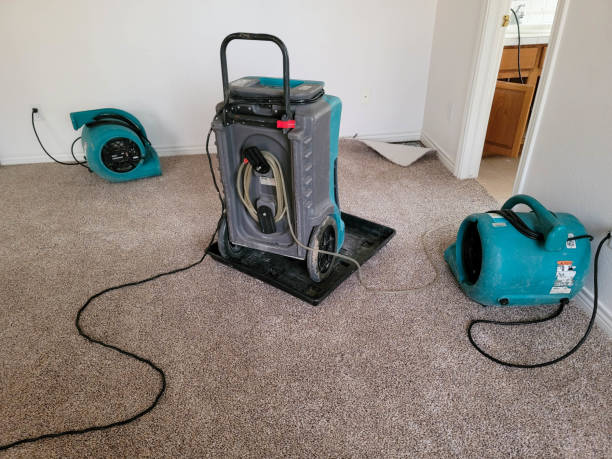 Best 24/7 water damage repair  in Bryant, AR