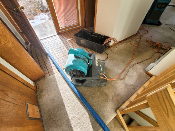 Best Flood restoration services  in Bryant, AR
