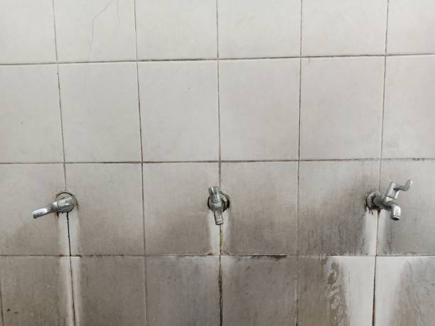 Best Sewage cleanup and water damage restoration  in Bryant, AR