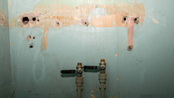 Water damage restoration mold remediation in Bryant, AR