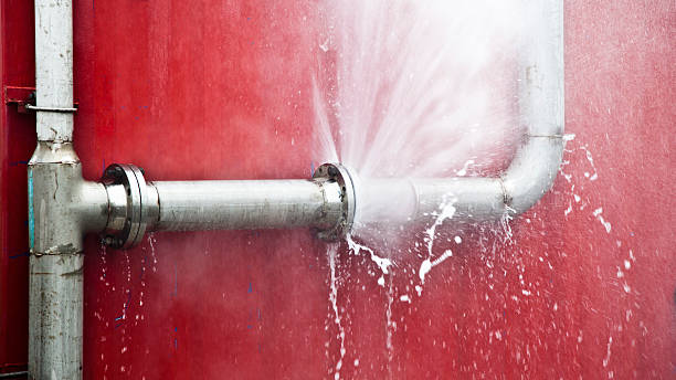 Best Water damage restoration mold remediation  in Bryant, AR