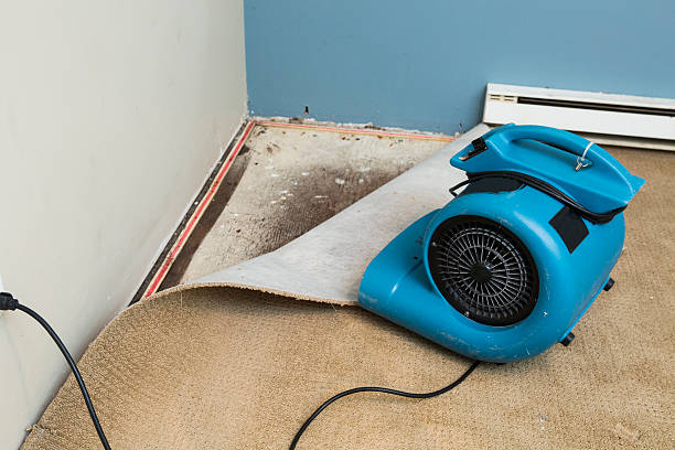 Best 24-hour water damage restoration  in Bryant, AR
